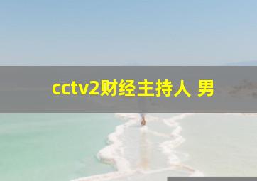 cctv2财经主持人 男